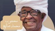 الصحفي السوداني محجوب محمد صالح السيرة الذاتية كاملة بعد وفاته.. هذا ما قدمه للصحافة العربية