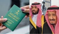 الديوان الملكي يوضح طريقة التقديم على الجنسية السعودية 2024 ومتطلبات الموافقة على طلب التجنيس