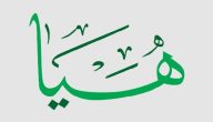 حلال أم حرام | ما هو معنى اسم هيا وهل هو اسم عربي؟!
